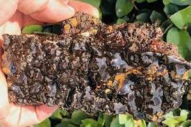 Shilajit Capsule Manufacturers in India