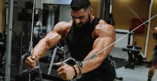 Wholesale Bodybuilding & Gym Supplements In India