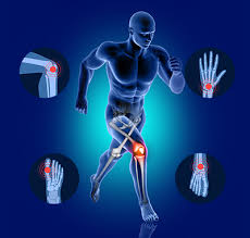 Top 10 Ortho PCD Pharma Companies In India