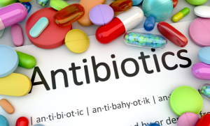 Top 10 Antibiotic Manufacturing Companies In India